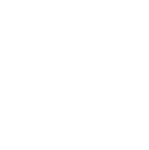HP Logo White